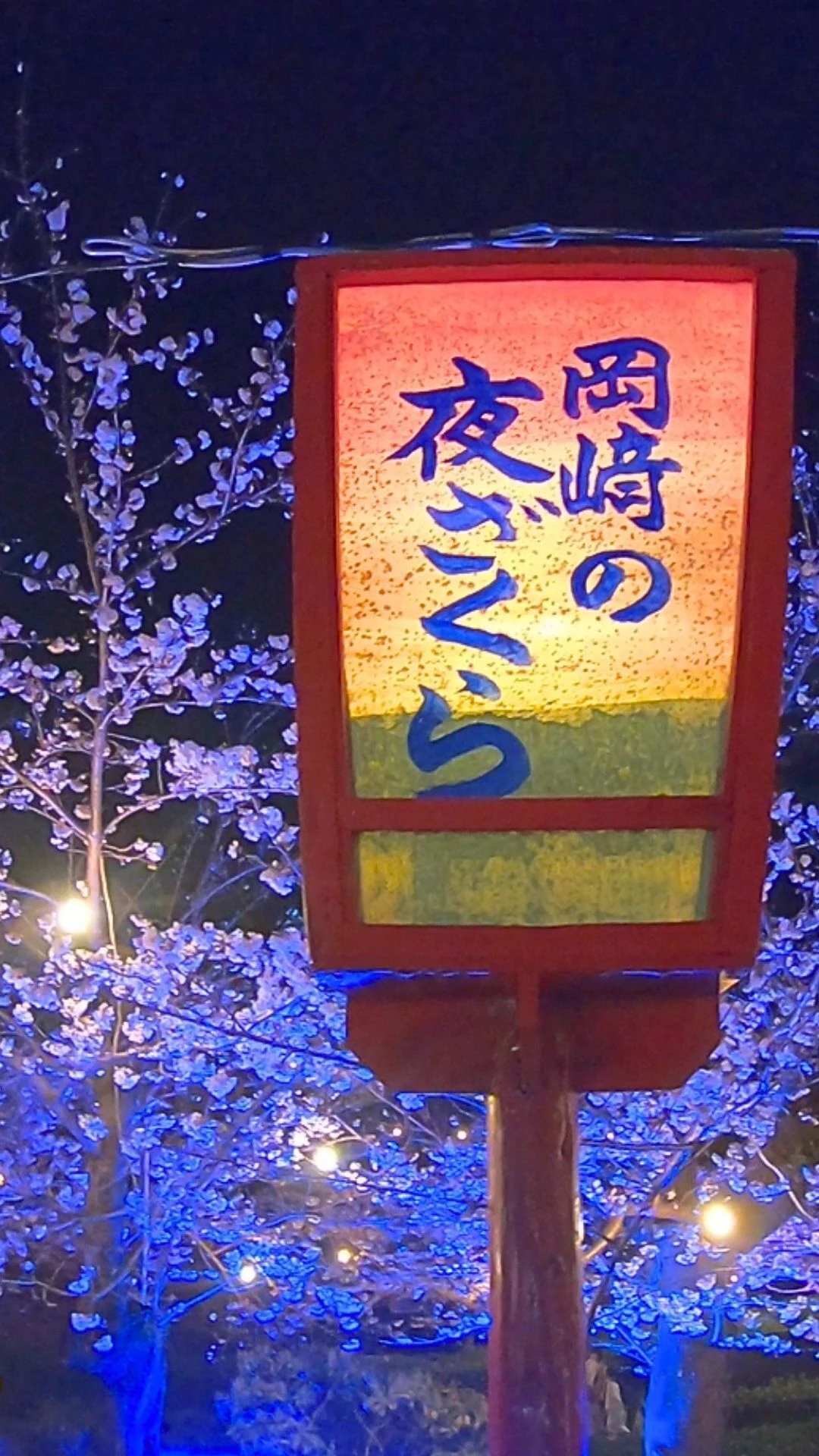 夜桜写真.jp